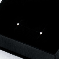 다이아몬드 귀걸이 - изображение 4